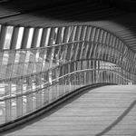 tzv. bavorská vlnka