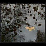 Prelínanie pocitov I