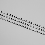 Předtím než mi prchly noty...