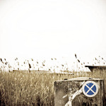 neusiedler see, cold & forbidden