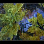 ...Podzim vs. Zima...