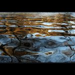 Utíkej,Káčo,utíkej........