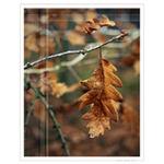 malujeme s podzimem 2