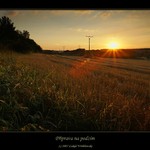 Příprava na podzim