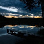 From Czech nature II.