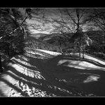 Cesta protkaná stíny