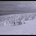 Cesty běžkaře II (Poslední z nich)