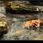 podzimní potůček (6)