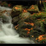 podzimní potůček (7)