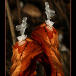 POjďte, budemesi hrát....