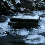 Snad na jaře rozmrznu!