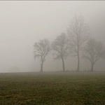 V mlhách se ztrácím