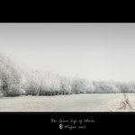 -[THE SECRET LIFE OF WORDS]-