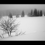 Když se ticho rozhostí...