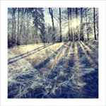 *** Na vločkách něhy ***