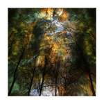 *** Apokalypsa nebe ***