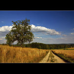 Letní zastaveníčko