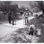 S Čočkinem v Banátu II