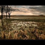 ...z toulek po Čechách...