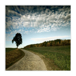 ...z toulek po Čechách...