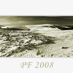 PF2008