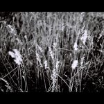 = S tou tvojí náladou ... =