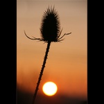 Na kraji všedních dnů