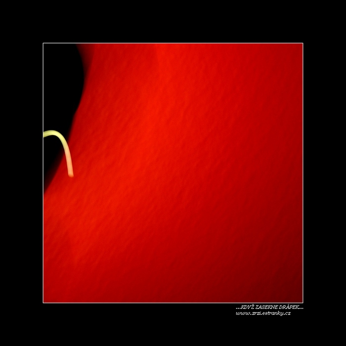 KDYŽ ZASEKNE DRÁPEK