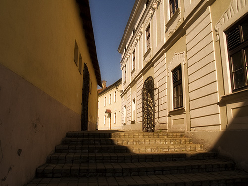 Muzeum