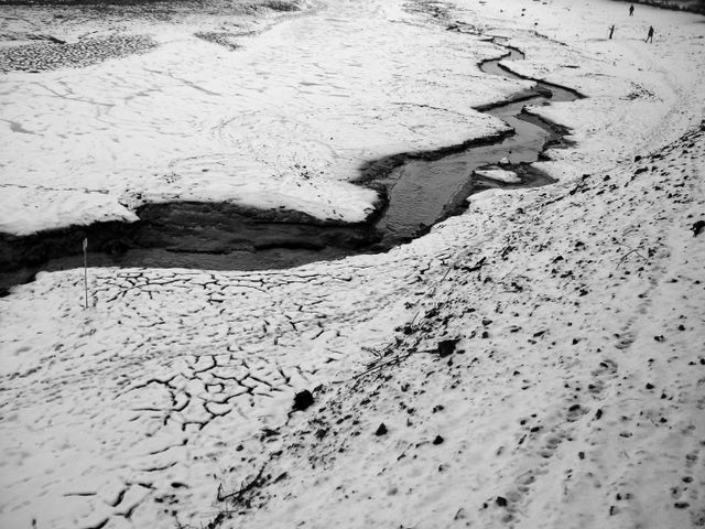 100 dAys wiThout coLor