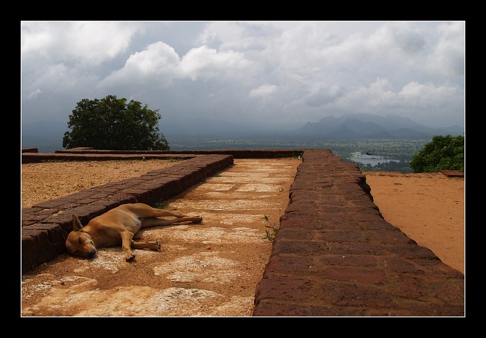 Sri Lanka na vrchole Sigyrie