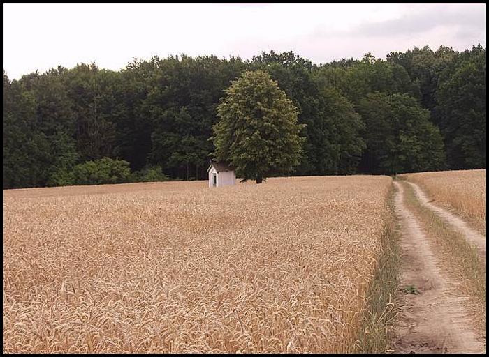 Kaplička