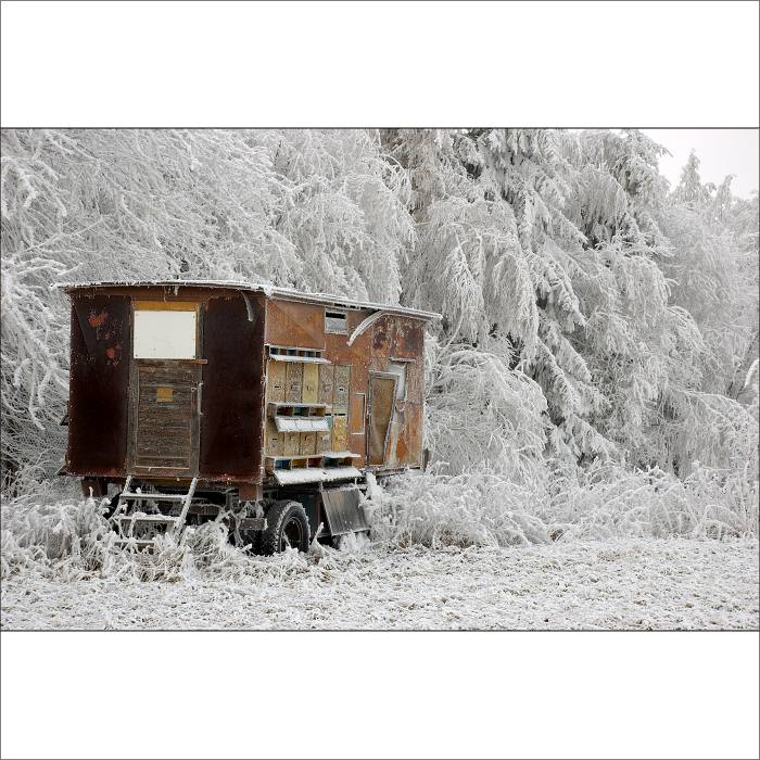 .:: Stanu se včelařem v roce 2008 ::.