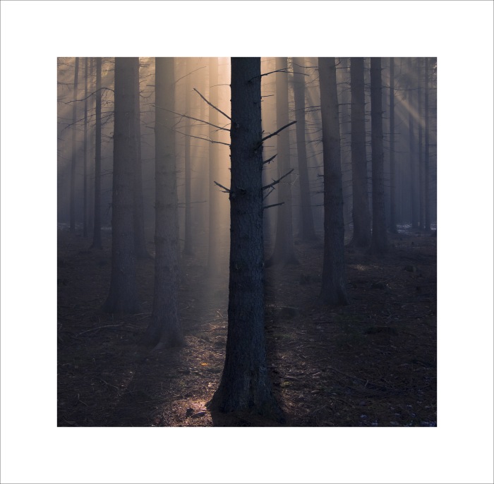 Bez názvu