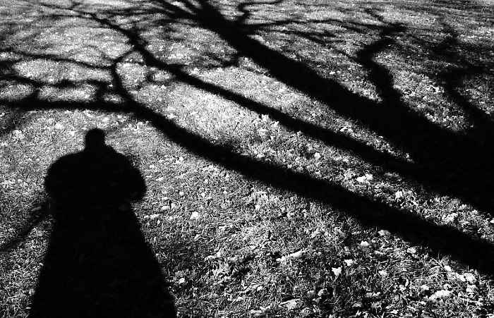 o lidech a stromech...