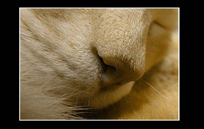 ..dobrou..
