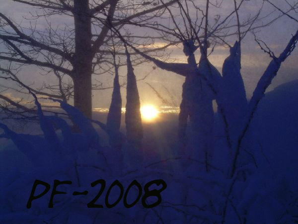 Pf-2008