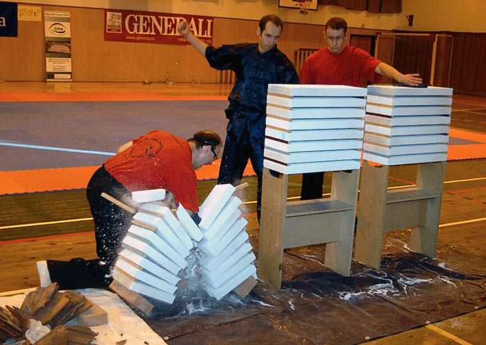BudoShow 2007