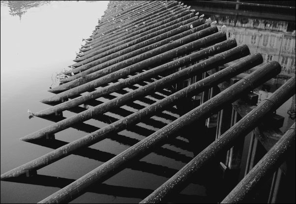 Lines&Shadows