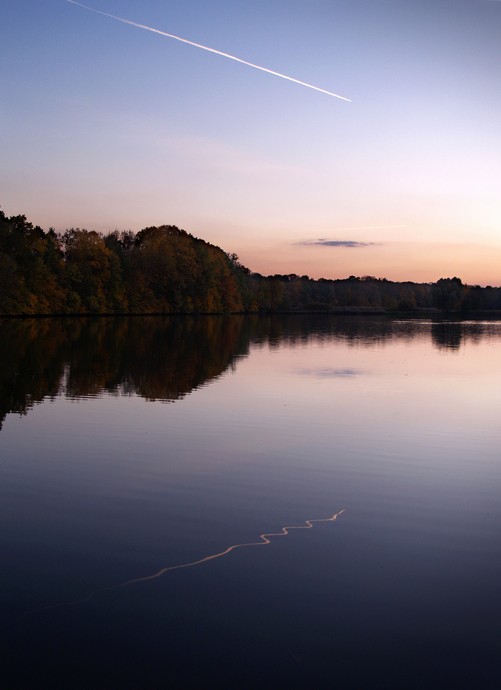 Reflexe 1