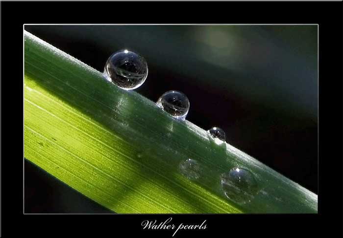 Water pearls