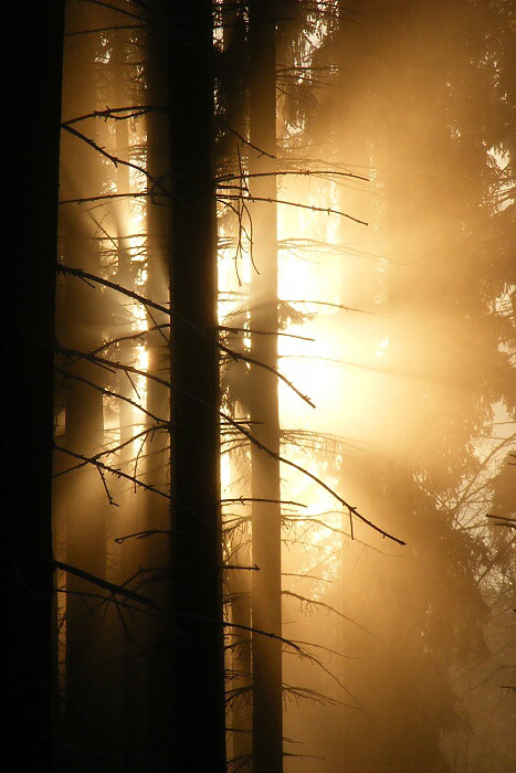 Power of Light
