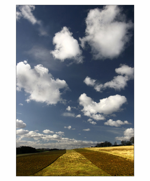 Mráčkovaná-pruhovaná