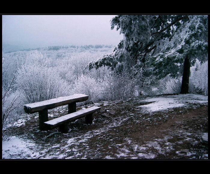 u Máchova pomníku 2