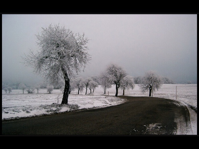 když mlha zmrzla 4