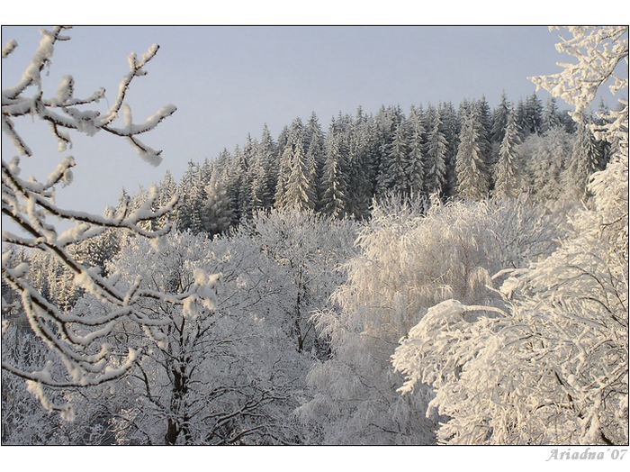 Ledová krajina II.