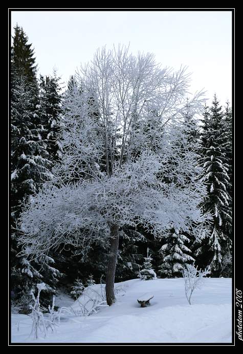 lavička