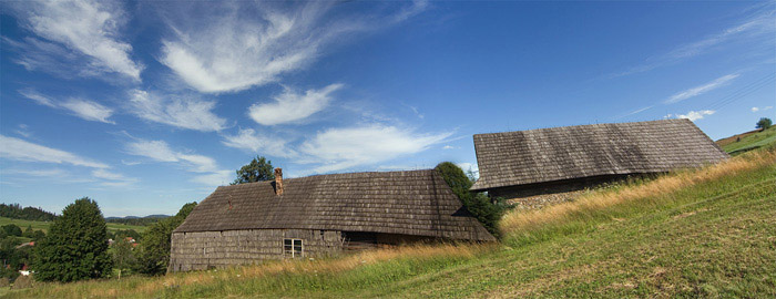 Orava