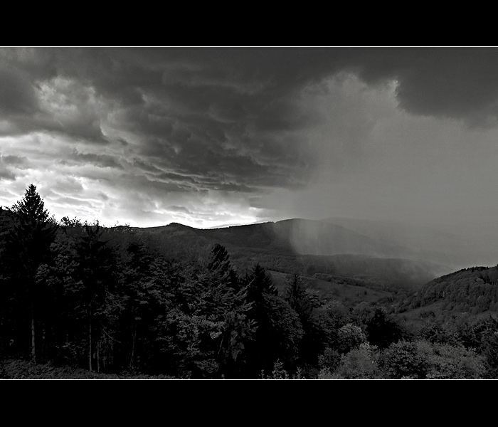 ...déšť přichází...