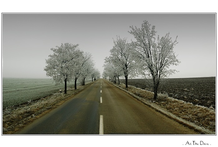 At The Drive
